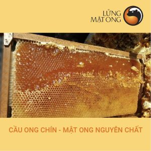 cau ong chin hoa cao nguyen 2