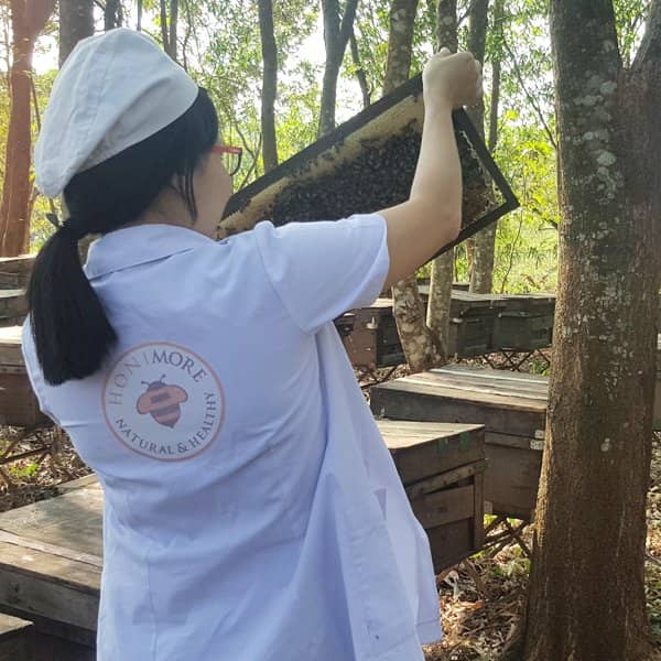 hình hoa cao nguyên (1) cầu ong chín
