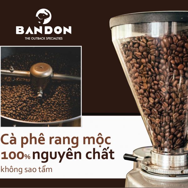 Combo Mật ong rừng Hoa Cao Nguyên Honimore 630g + Cà phê nguyên chất rang mộc pha phin Bandon Focus 250g