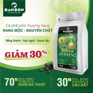 Amuse 900x900 giam30