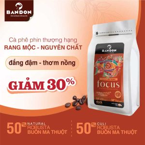 Focus 900x900 giam30