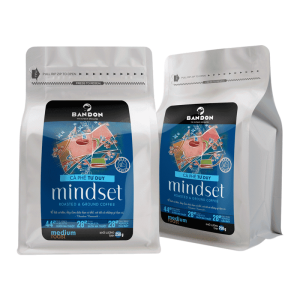 mindset 250 min