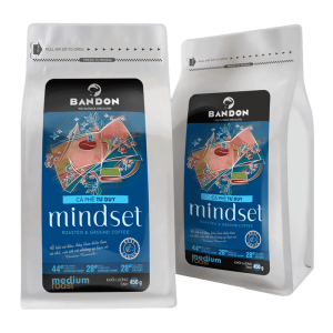 mindset 450 min